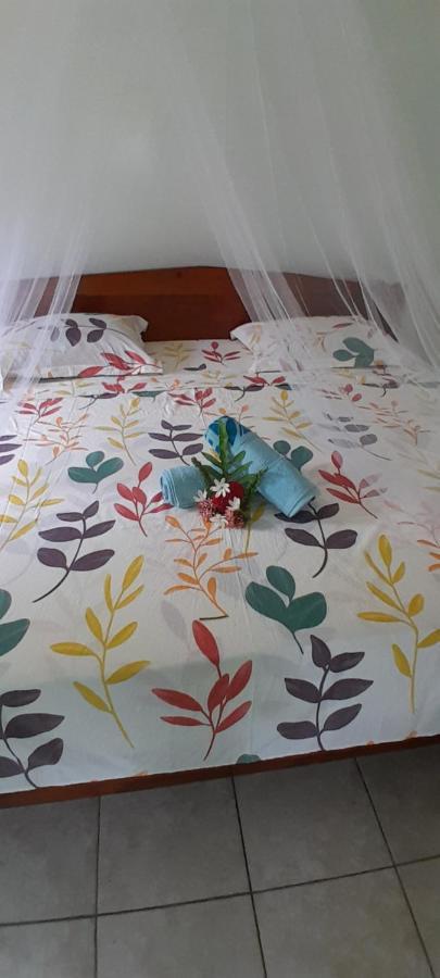 Penu Maurua 1 Apartment Te-Fare-Arii Bagian luar foto